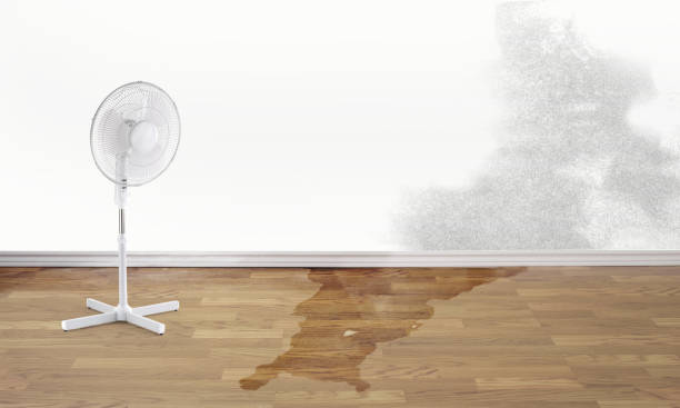 Best Fire Damage Restoration  in Lowes Island, VA