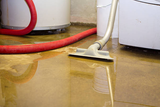 Lowes Island, VA Water damage restoration Company